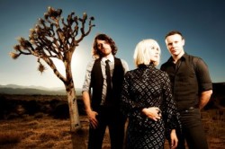 The Joy Formidable Picture