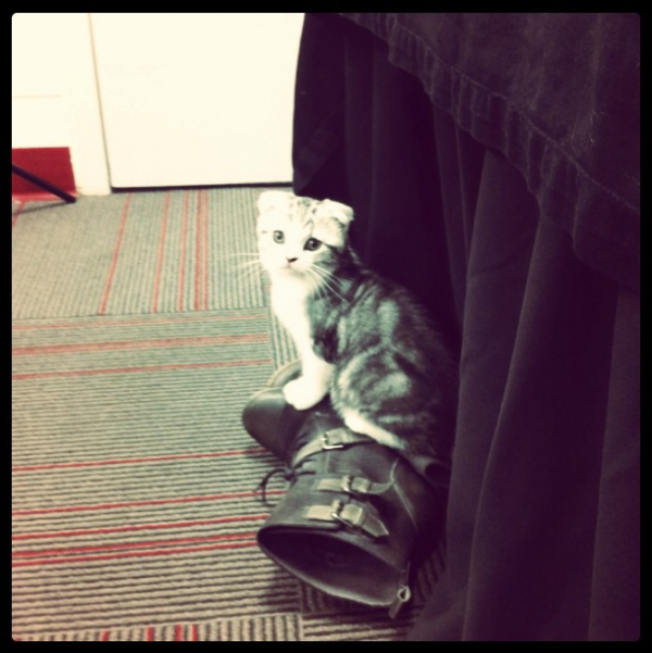 Meredith, basically just Meredith, basically just