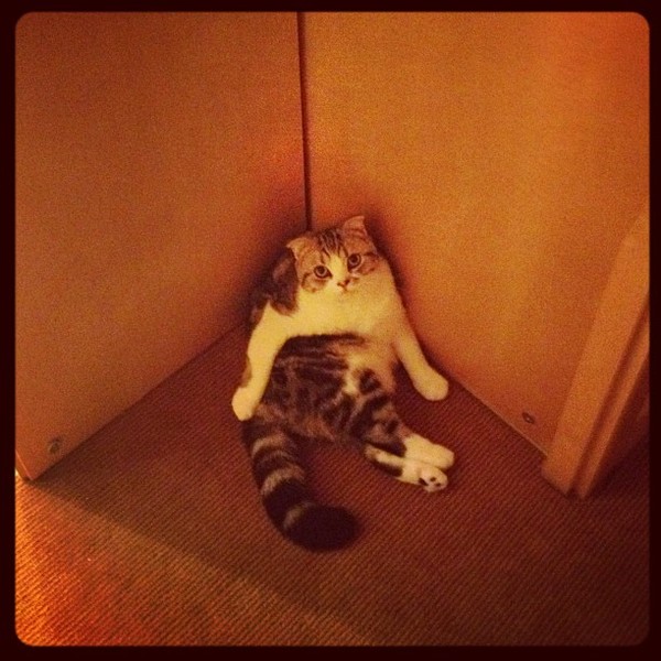 So, this posture situation right now...